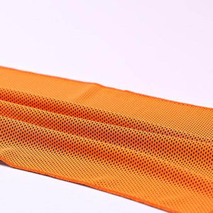 Instant Cooling Sports Towel