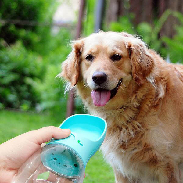 Dog Portable Water Dispenser